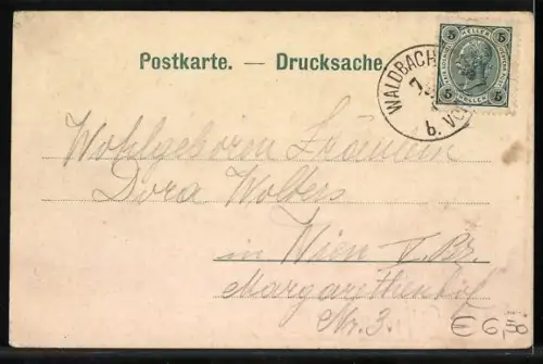 AK Waldbach, Generalansicht