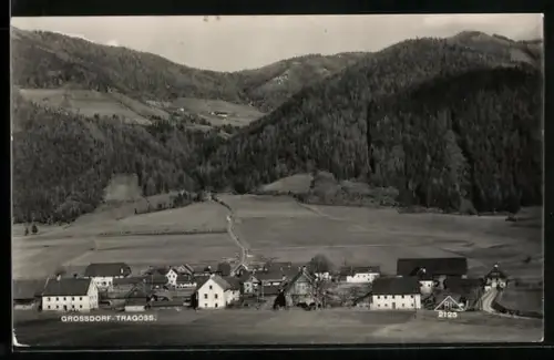 AK Tragöss, Blick über Grossdorf