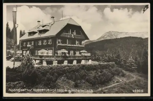 AK Mitterdorf im Mürztal, Alpengasthof Hubertushof gegen Hohe Veitsch