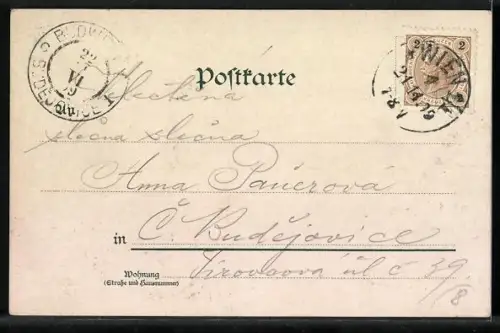 Lithographie Wien, Motiv der Votiv-Kirche