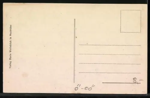 AK Neufelden im Mühlkreis, Panorama