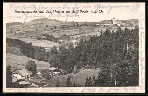 AK Hofkirchen im Mühlkreis, Teilansicht mit Bärenschlucht