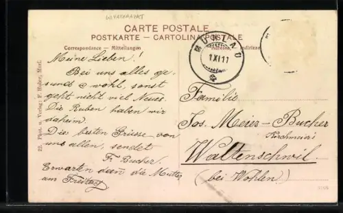 AK Mühlau, Ortspartie mit Gärten