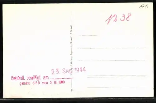 AK Boswil /Aargau, Strassenpartie