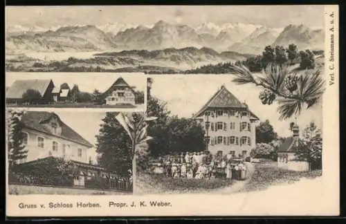 AK Beinwil b. Muri, Gasthaus Schloss Horben, Inh. J. K. Weber, Gipfelpanorama