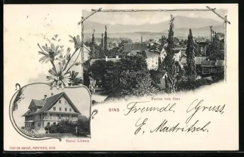 AK Sins /Aargau, Hotel Löwen, Ortspartie aus der Vogelschau