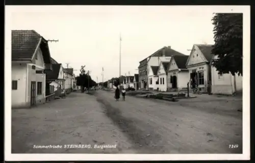 AK Steinberg, Strassenpartie mit Geschäften