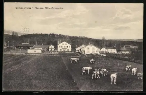 AK Bole-Colombier, Combustibles J. Berger