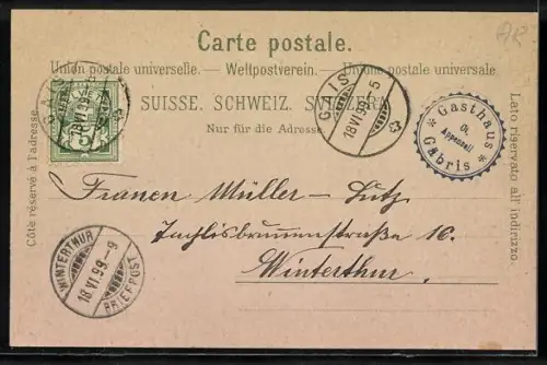 Lithographie Gäbris, Bergsteiger erklimmen den Gipfel, Alpenpanorama