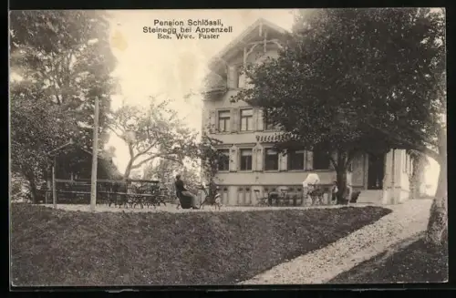 AK Steinegg bei Appenzell, Hotel-Pension Schlössli, Bes. Wwe. Fuster