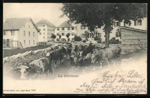 AK Le Noirmont, Vieh wird durch die Strasse getrieben