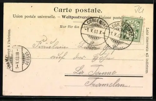 AK Le Noirmont, Vieh wird durch die Strasse getrieben