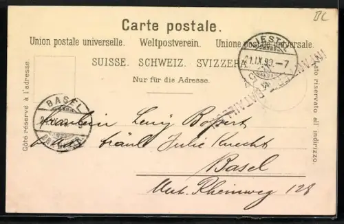 Lithographie Liestal, Kaserne, Innere Stadt, Ortspanorama
