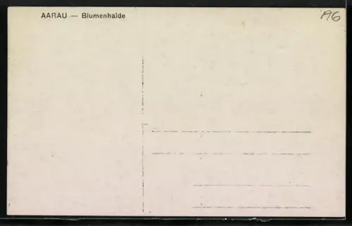 AK Aarau, Partie an der Blumenhalde