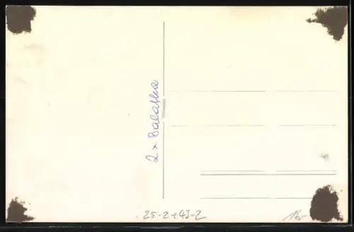 Foto-AK Zwei Frauen in Badeanzügen auf Motorrädern im Wald