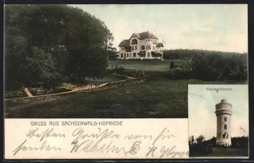 AK Sachsenwald-Hofriede, Villa mit Waldumgebung, Bismarckthurm