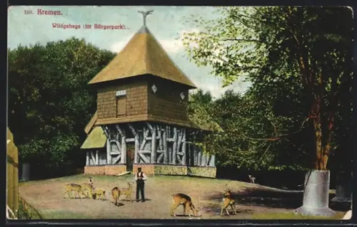 AK Bremen, Wildgehege im Bürgerpark, Rehfütterung