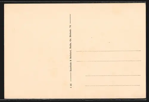 AK Halle / Saale, Rabeninsel, Kurzhals Waldwirtschaft, Dampfer