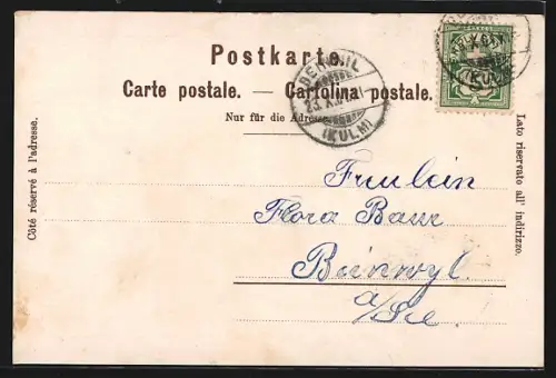 Lithographie Zürich, Schweizerisches Landesmuseum, Mohnblüten als Verzierung