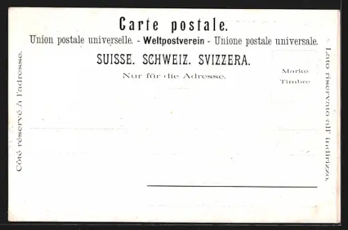 Künstler-AK Zürich, Teilansicht, Schweiz Landesmuseum