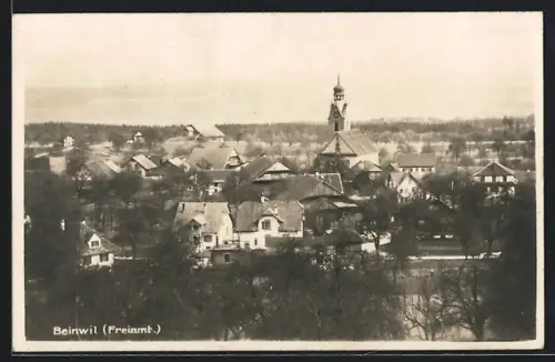 AK Beinwil /Freiamt, Teilansicht mit Kirche