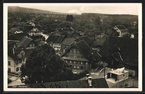 AK Auw /Aargau, Ortspartie mit Strasse