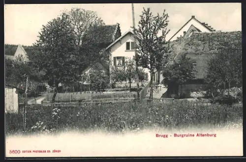 AK Brugg, Burgruine Altenburg