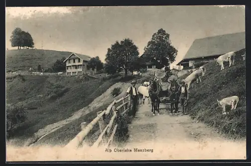 AK Menzberg, Bauern mit Rindern auf der Alp Oberlehn