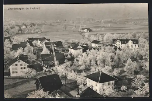 AK Grosswangen, Teilansicht im Rauhreif