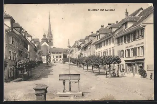 AK Münster /Luzern, Strassenpartie mit Restaurant zum Rosengarten