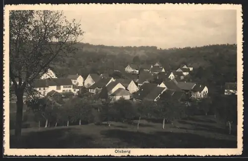 AK Olsberg, Ortsansicht aus der Vogelschau