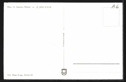 AK Hausen b. Brugg /AG, Gasthof zum Rössli, Bes. A. Amrein-Michel