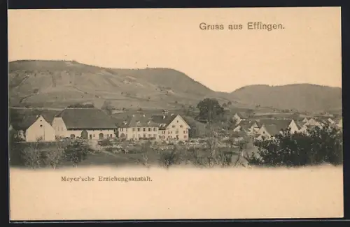 AK Effingen /AG, Meyer`sche Erziehungsanstalt