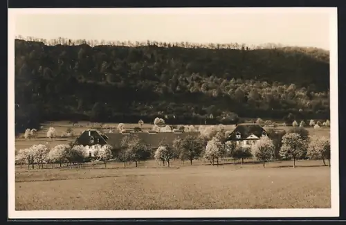 AK Birr, Schweiz. Pestalozziheim Neuhof