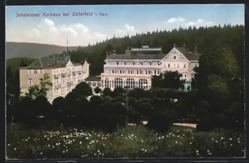 AK Zellerfeld i. Harz, Blick auf das Johanneser Kurhaus
