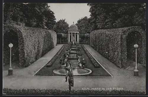 AK Köln-Riehl, Partie in der Flora