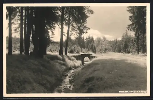 Foto-AK Tharandt, Warnsdorfer Weg im Tharandter Wald