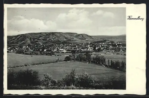 AK Hammelburg, Totalansicht aus der Vogelschau