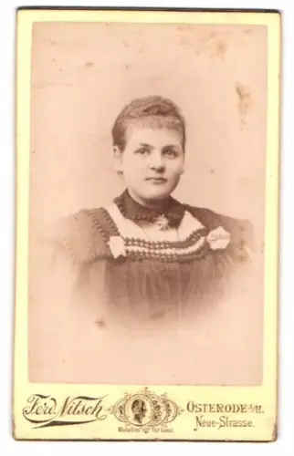 Fotografie Ferd. Nitsch, Osterode a. H., Neue-Strasse, Porträt einer Frau