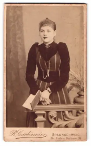 Fotografie R. Carbonnier, Braunschweig, Hintern Brüdern 36, Dame m gestreiften Kleid