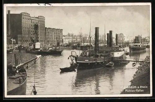 AK Mannheim, Mühlau-Hafen, Dampfer an der Anlegestelle
