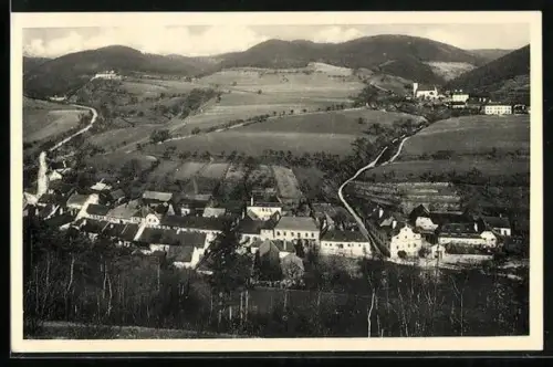 AK Mühldorf /N.-Oe., Teilansicht mit Burg Ranna bei Spitz