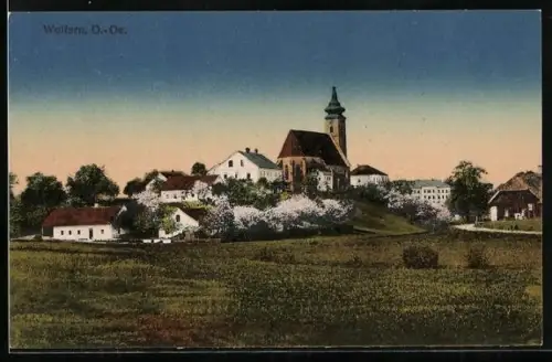 AK Wolfern /O.-Oe., Ortsansicht mit Blick zur Kirche