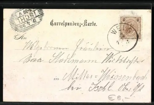 Lithographie Wels, Landschaftspanorama mit Blick zum Ort