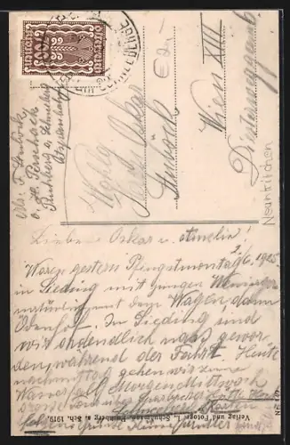 AK Ternitz /N.-Oe., Graf Hojos`sches Schloss Stixenstein mit dem Schneeberg