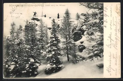 AK Schottwien, Sonnwendstein, Gipfel mit Wanderern im Winter