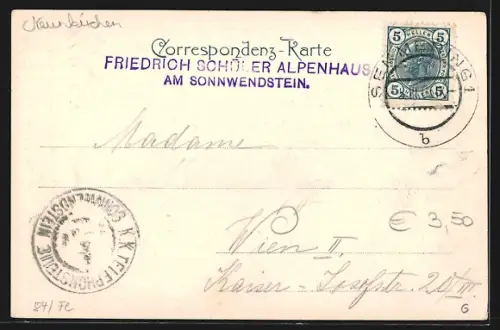 AK Schottwien, Sonnwendstein, Gipfel mit Wanderern im Winter