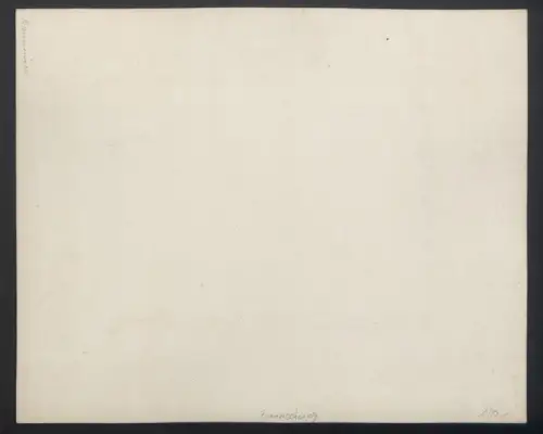 Fotografie unbekannter Fotograf, Ansicht Braunschweig, Kohlmarkt mit Baierischer Bierbrauerei I. W. Faillard