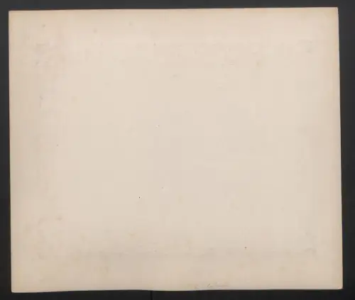 Fotografie W. L. H. Skeen, Colombo, Ansicht Colombo, Dattelpalmenhain vor Colombo, Blick nach der Stadt mit Hafen