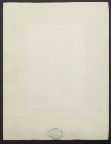 Fotografie A. Stecher, Braunschweig, Ansicht Braunschweig, Blick auf die alte Waage, nach der Natur photografirt
